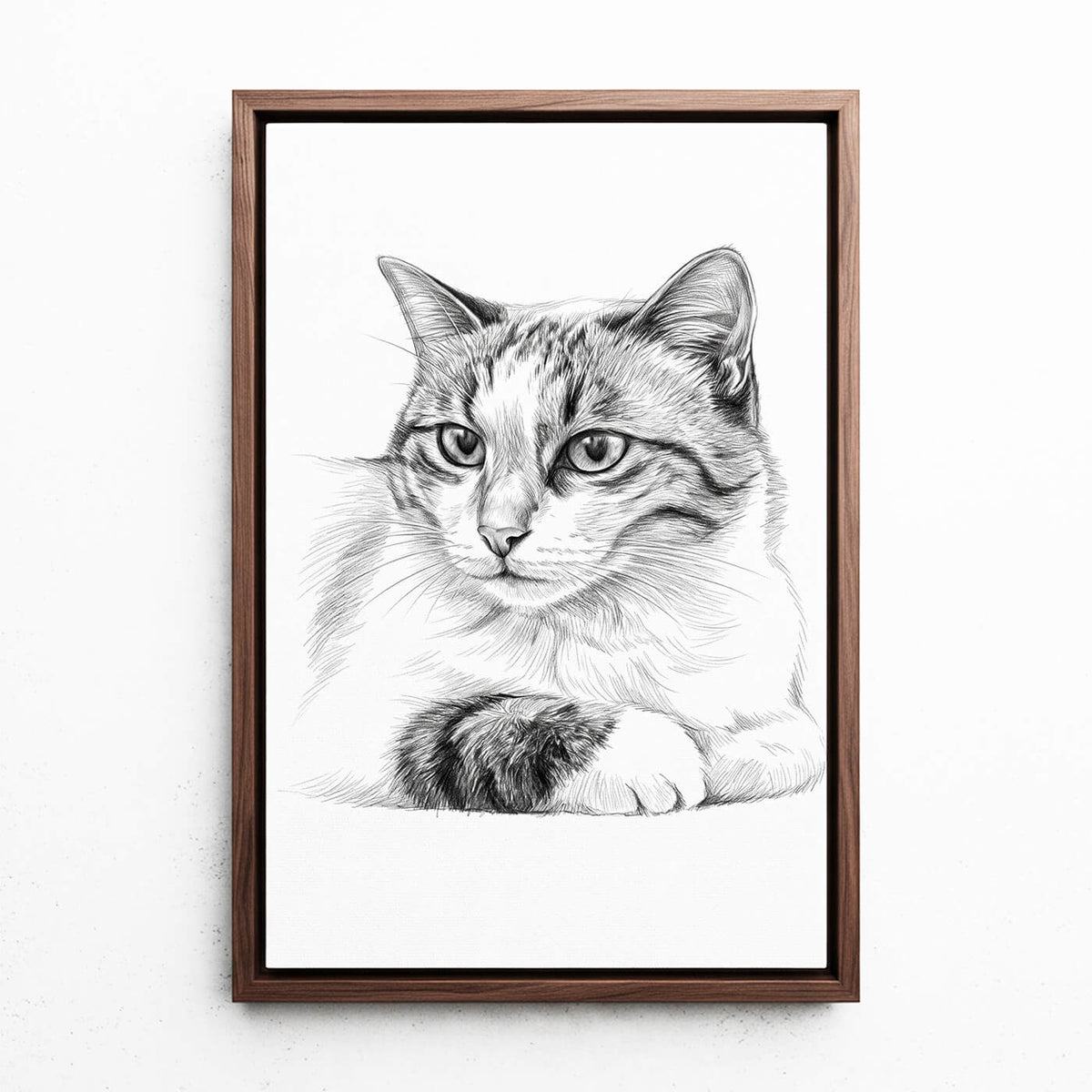 Katzenportrait im Bleistift-Stil nach Foto - Leinwand mit Rahmen in Walnuss-Optik