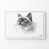 katzenportrait-leinwand-rahmen